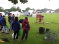 SA2014_28112816